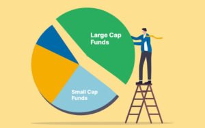 The Strategic Approach to Large Cap